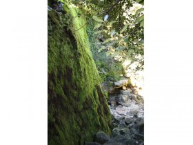 Fontes de Cima