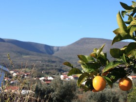 Vista de Alcaria